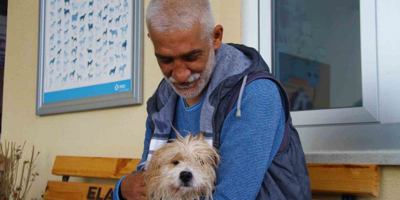 Muğla’da çalınan köpek, çipi sayesinde Elazığ’da bulunarak sahibine teslim edildi
