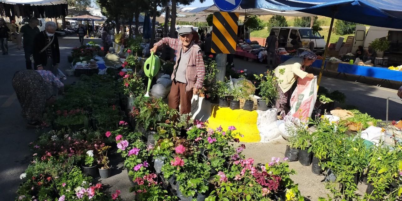 Aydın’da pazar tezgahları çiçeklerle renklendi