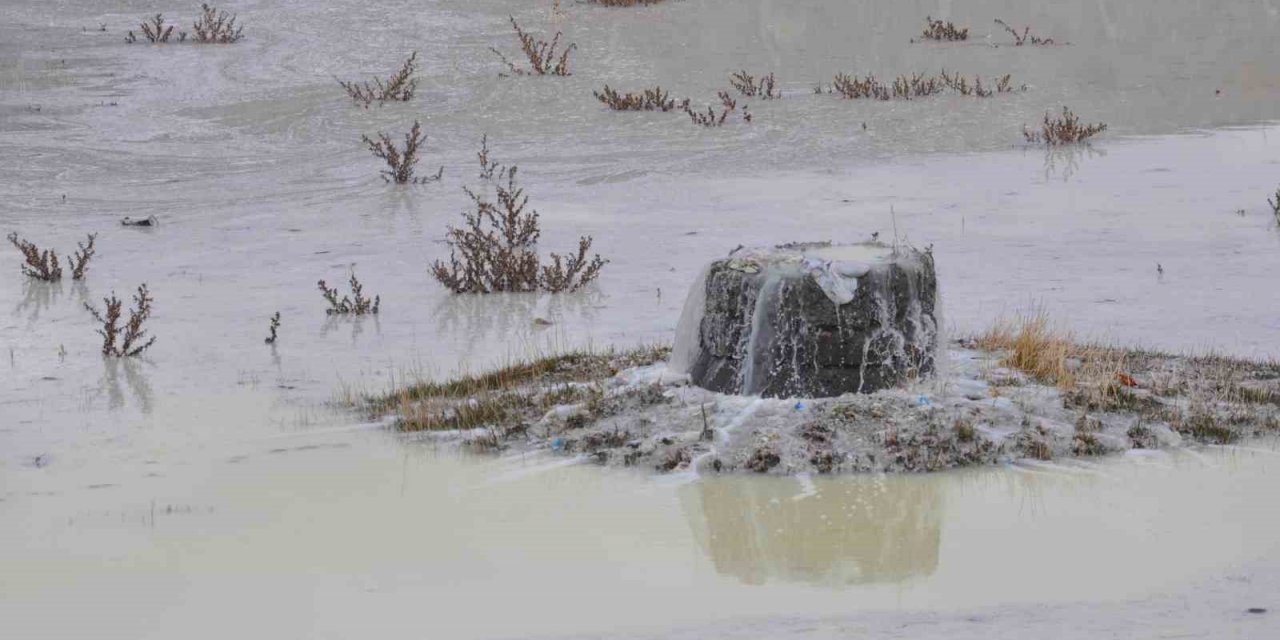 Kars’ta peynir altı sularının oluşturduğu gölet etrafa pis koku yayıyor