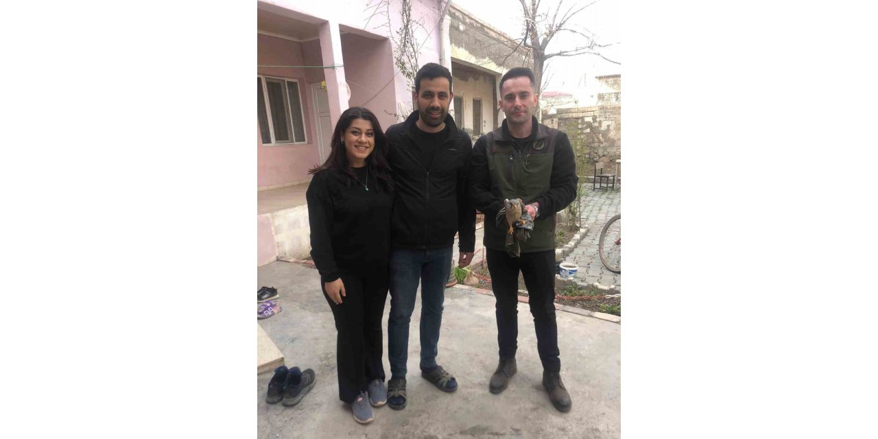 Yaralı bulunan kerkenez kuşu tedavi altına alındı