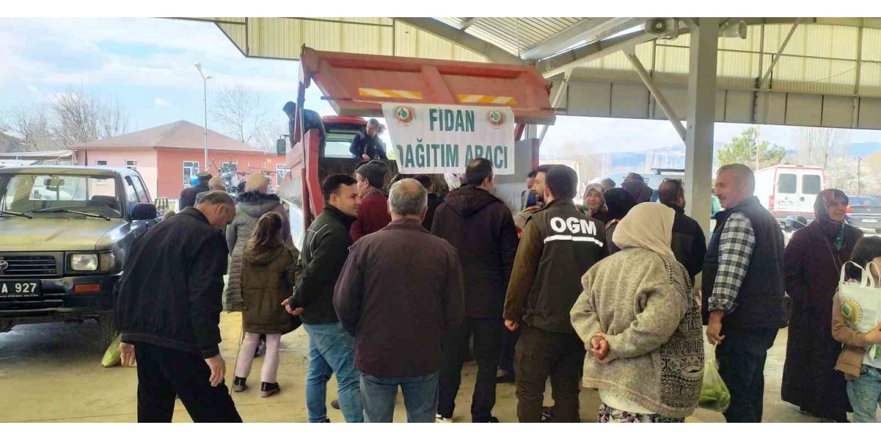 Hisarcık’ta 3 bin 500 fidan dağıtıldı