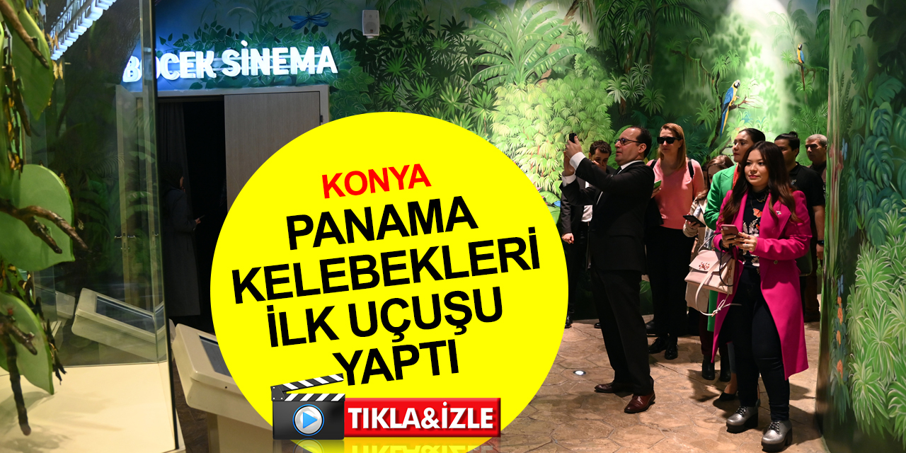 Panama’dan Konya'ya gelen kelebekler Tropikal Kelebek Bahçesi’nde uçtu! Büyükelçi Sagel uzun ömürler diledi