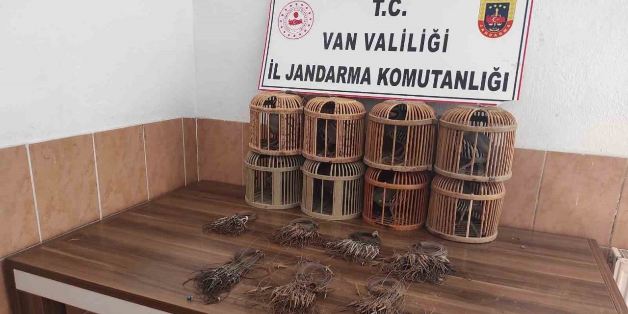 Van’da kafes avcılığı