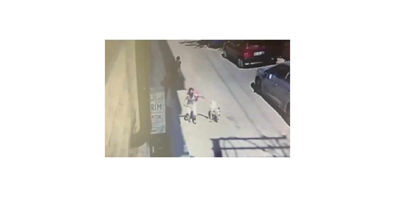 5 yaşındaki çocuğa ve kadına saldıran köpeğin sahibine hapis talebi