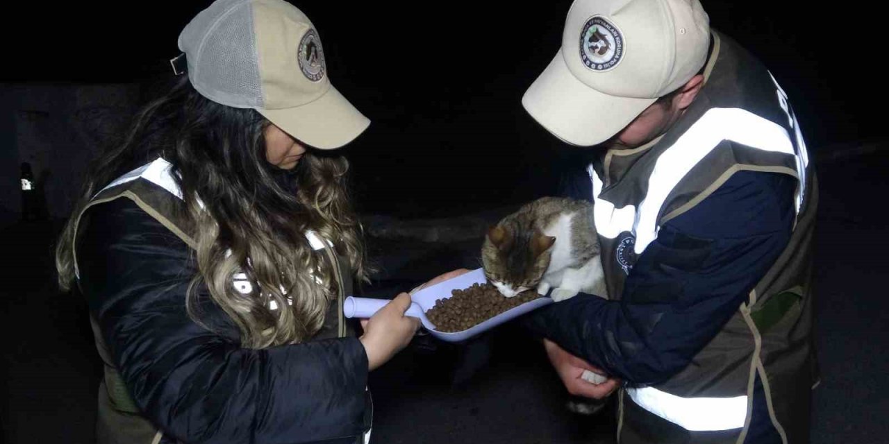 Deprem bölgesinden gelen ekipler, ayaklarının tozuyla sokak canlıları için sahaya indi