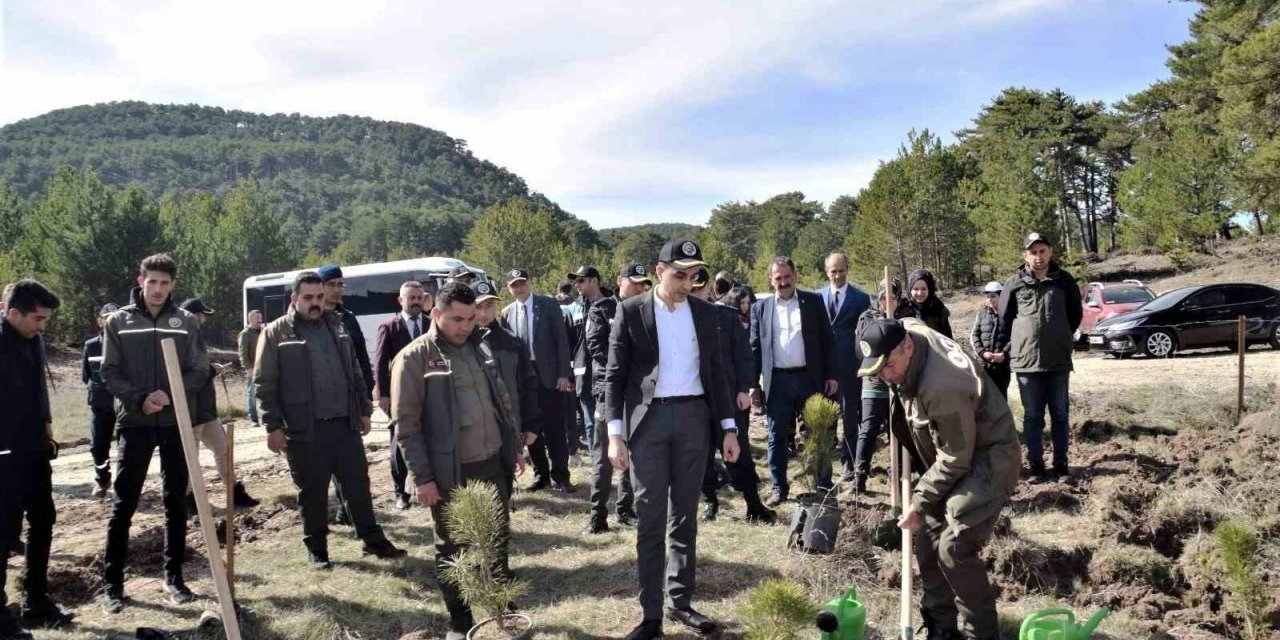 Domaniç’te 250 karaçam fidanı toprakla buluştu