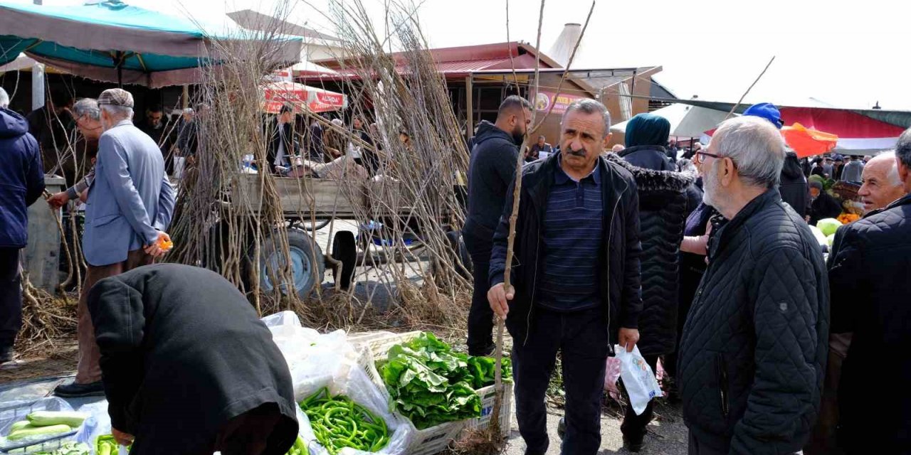 Erzincan’da meyve fidanı satışı başladı