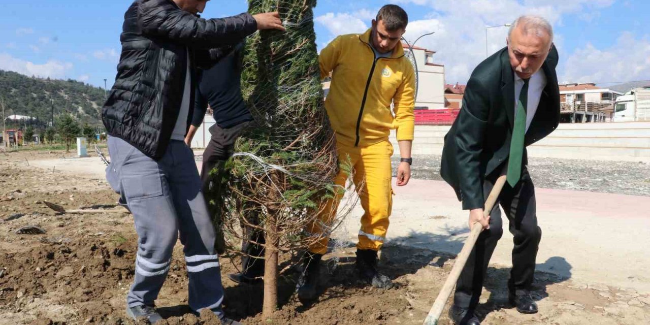 Taşova Millet Bahçesi’ne 3 bin 500 fidan