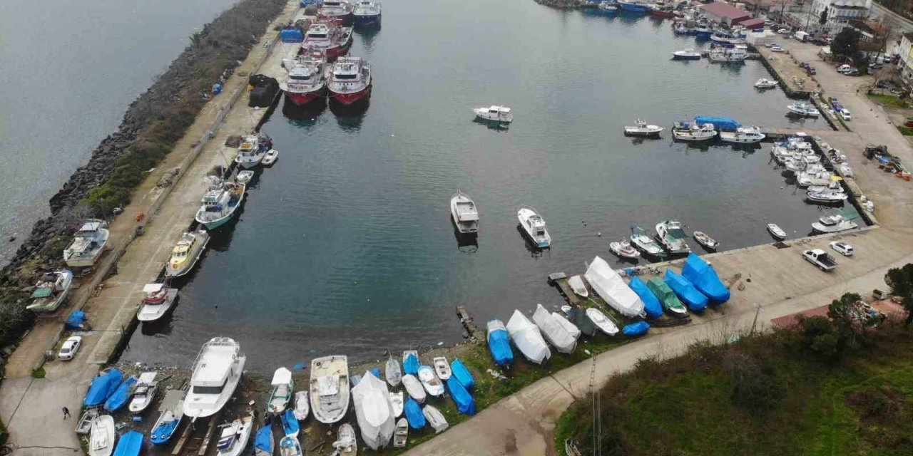 Hamsi ve istavrit olmayınca balıkçılar sezonu erken kapattı