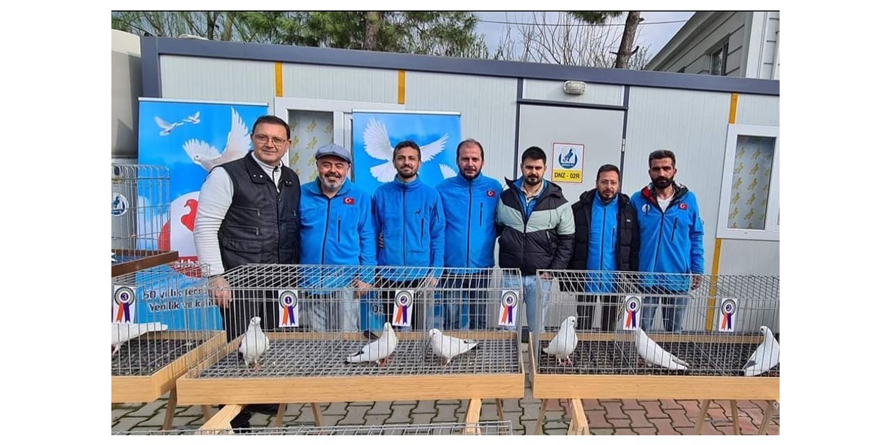 Azman güvercinleri güzelliğiyle yarıştı