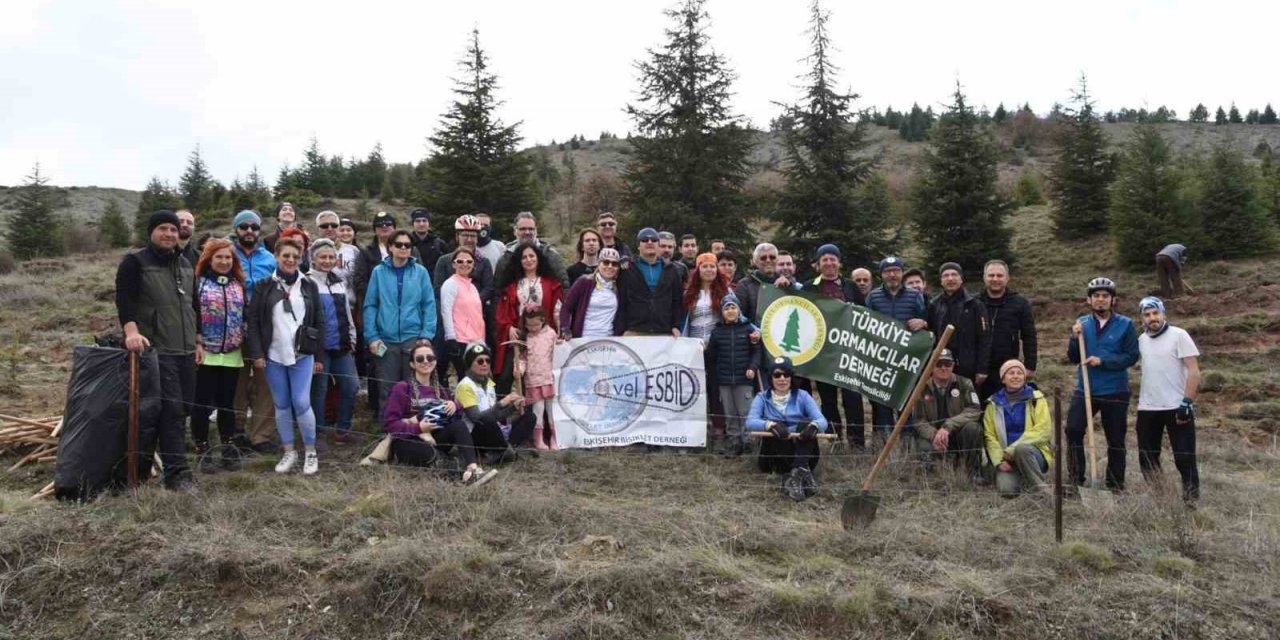 Orman Haftası kutlamasında 250 fidan dikildi