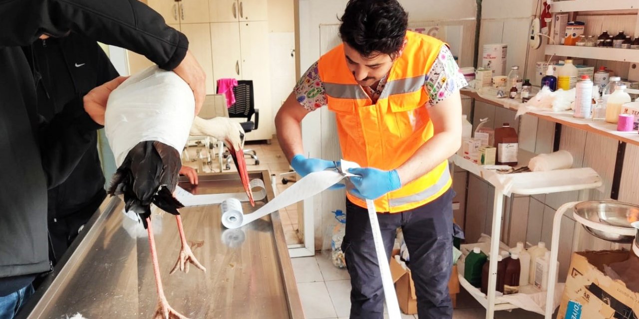 Keçiören Belediyesi binlerce afetzede canlıyı tedavi etti