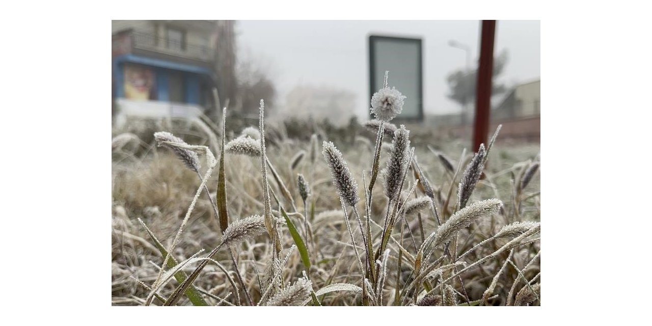 Meteorolojiden Diyarbakır için ‘zirai don’ uyarısı