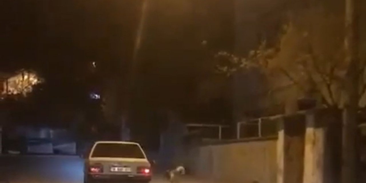 Köpeği otomobilin kapısına bağlayıp koşturdu