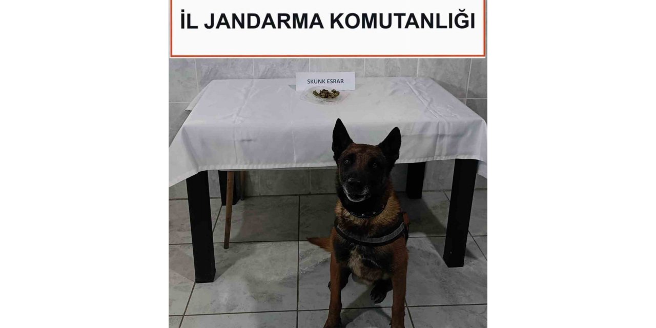 ‘Kont’ destekli uyuşturucu denetimi