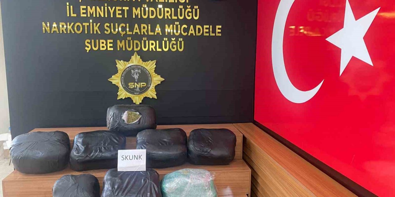 Şanlıurfa’da 32 kilogram skunk ele geçirildi: 2 gözaltı