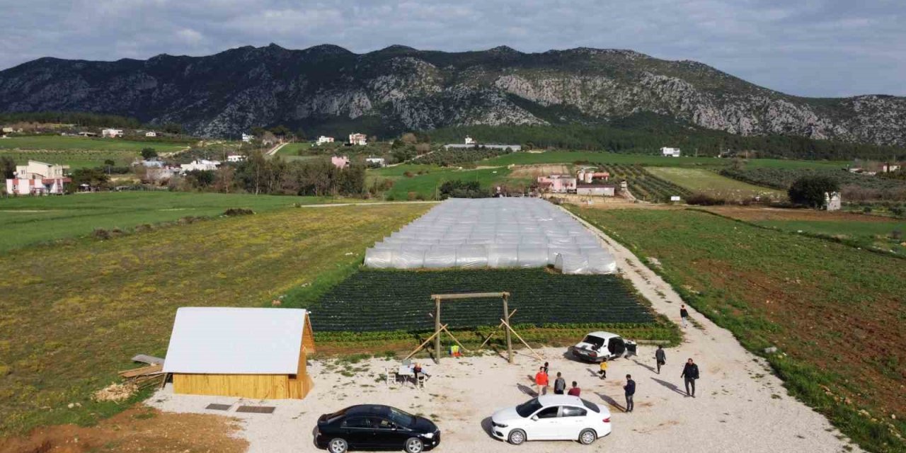 Suya kavuşan topraklarda üretim başladı