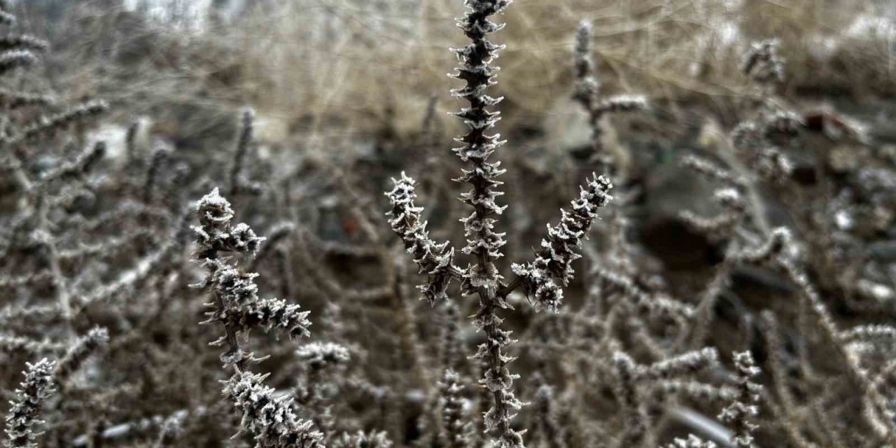 Meteorolojiden zirai don uyarısı