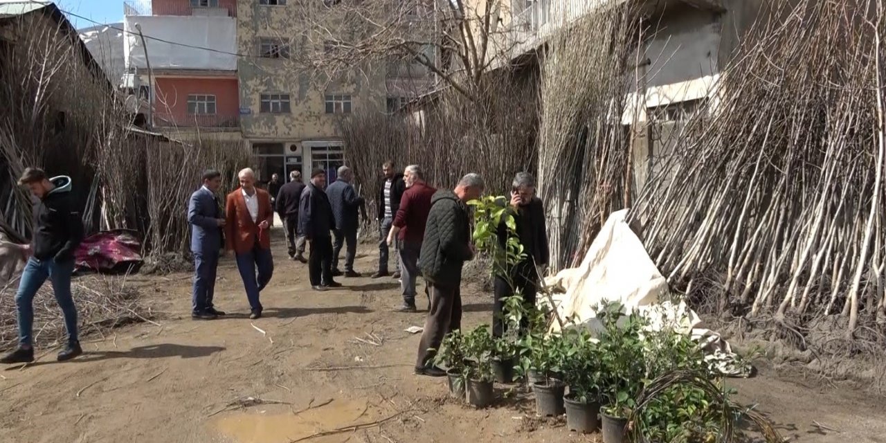 Muş’ta fidan satışları başladı