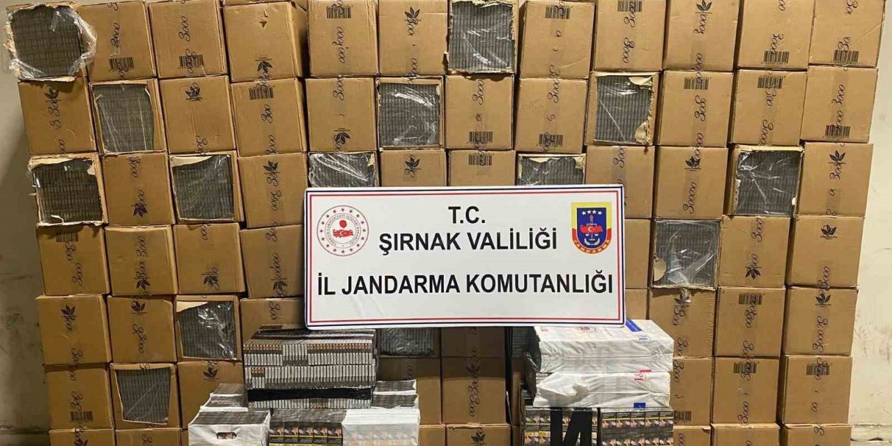 Şırnak’ta 48 bin 900 paket gümrük kaçağı sigara ele geçirildi