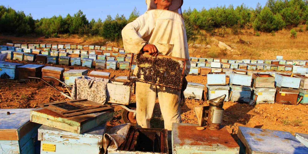 Arıcılara ‘Erken bahar’ uyarısı