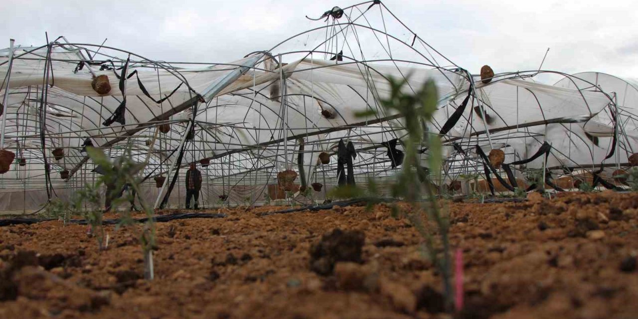 Amasya’da fırtına seraları ve pazarı vurdu