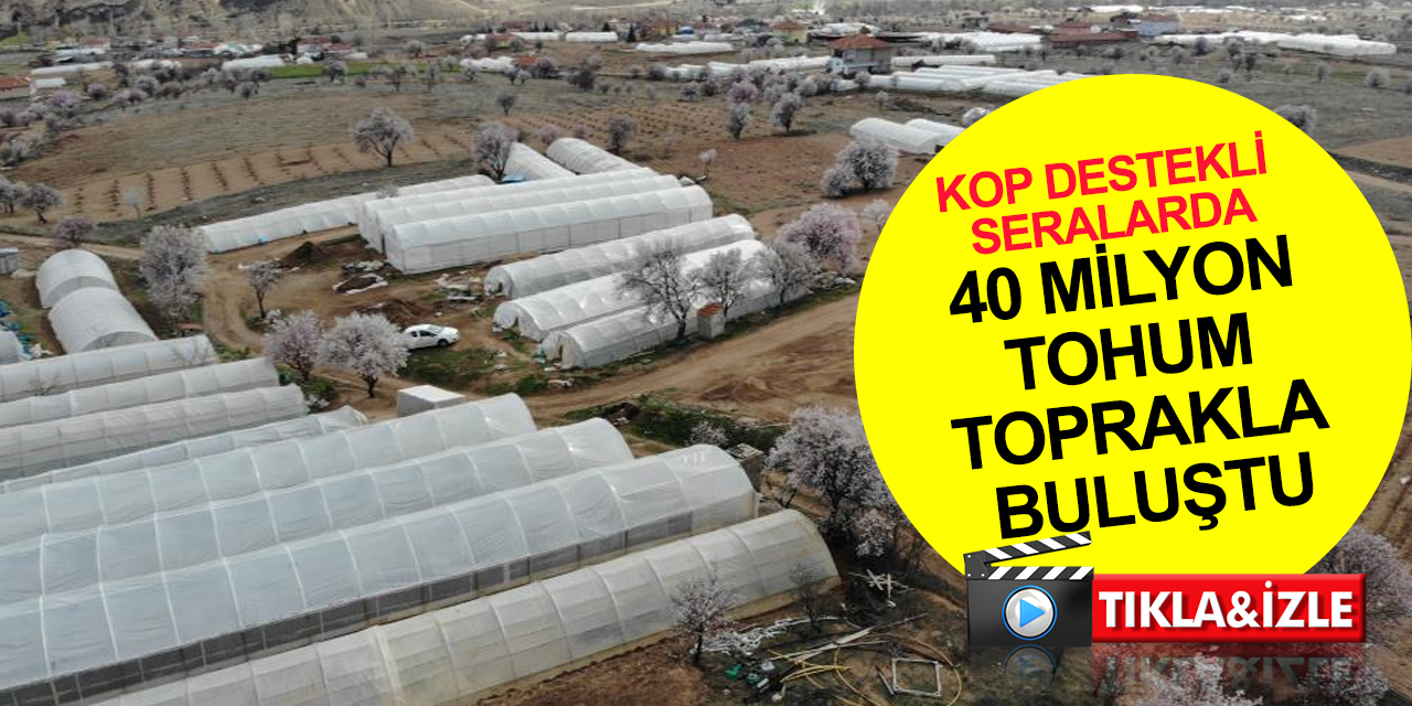 Konya Ovası Projesi destekli seralarda 40 milyon tohum toprakla buluştu