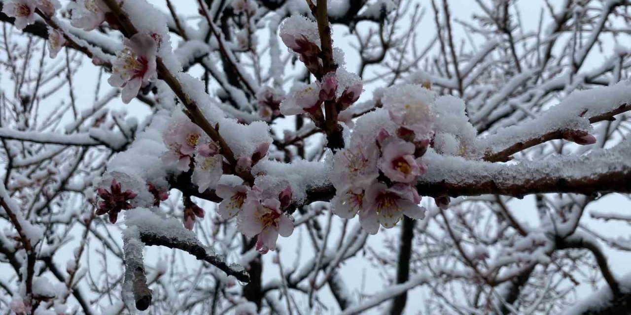 Yozgat’ta kar yağışı etkili oldu