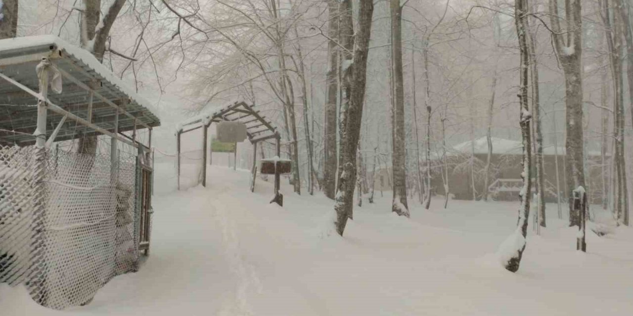 Bahar ayında Kocaeli beyaza büründü, kar kalınlığı 30 santimi aştı