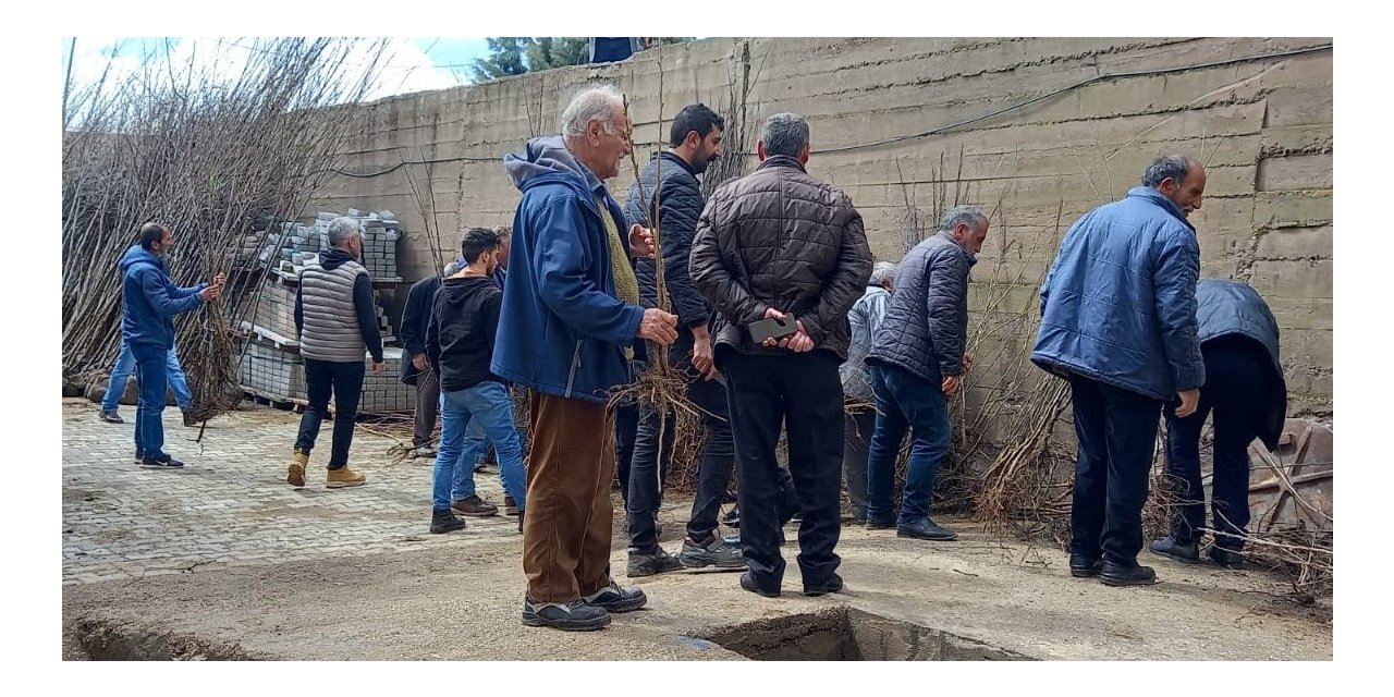 Memleketine her yıl binlerce fidan gönderiyor