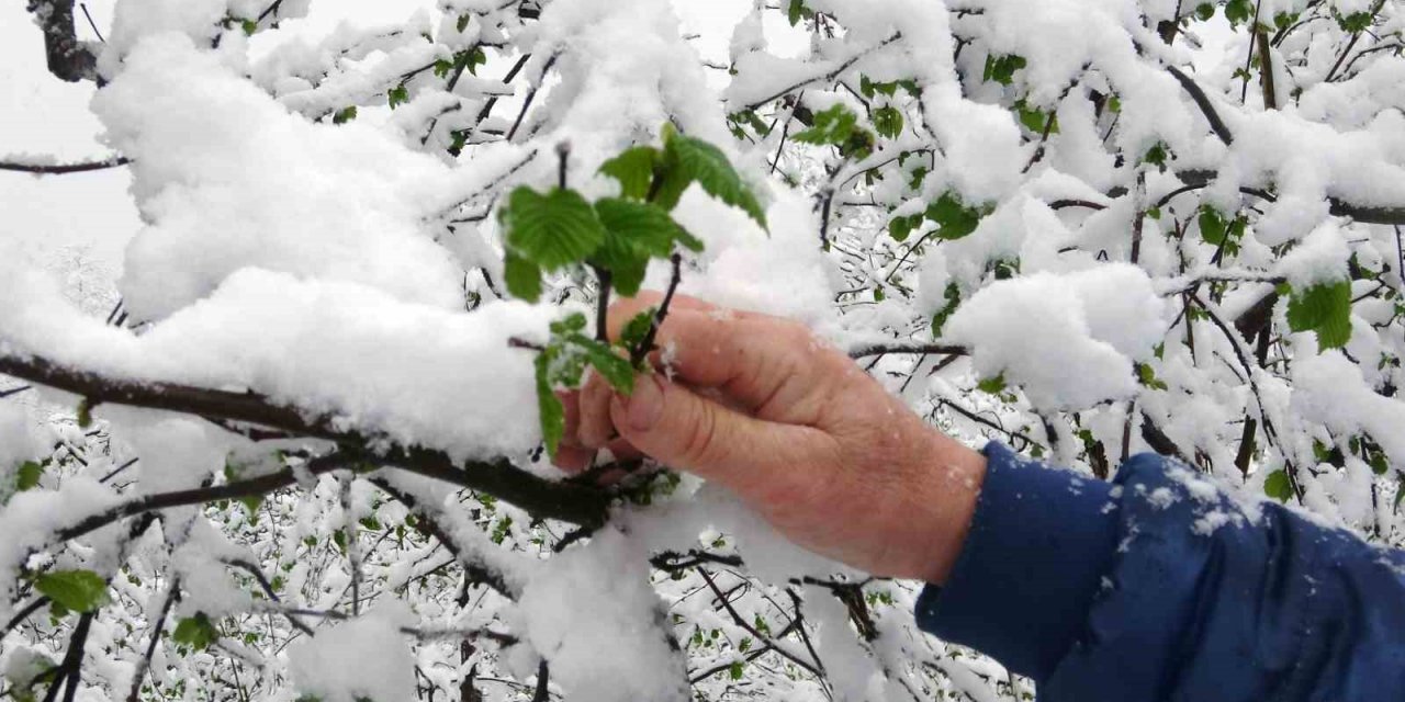 Mart karı fındık üreticisini endişelendirdi