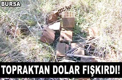 4 milyon doları toprak altından çıktı