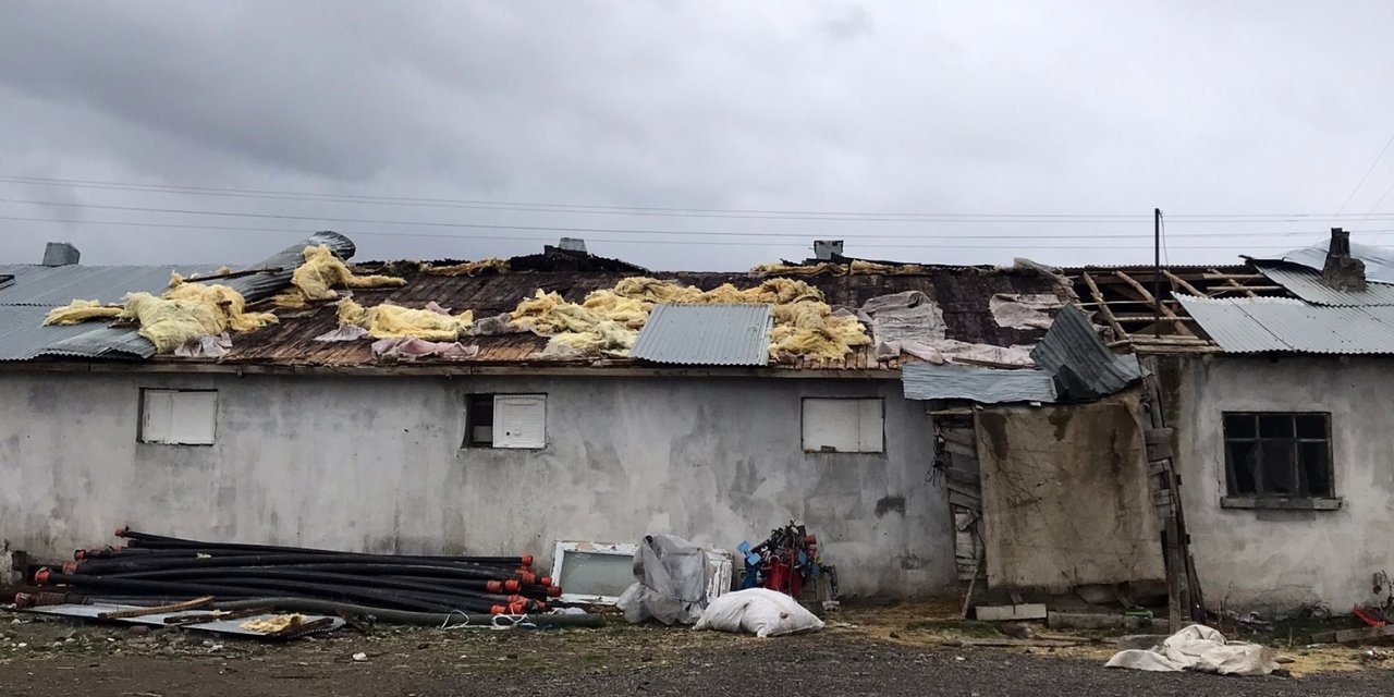 Fırtınanın çatısını uçurduğu ahırda 15 kuzu telef oldu