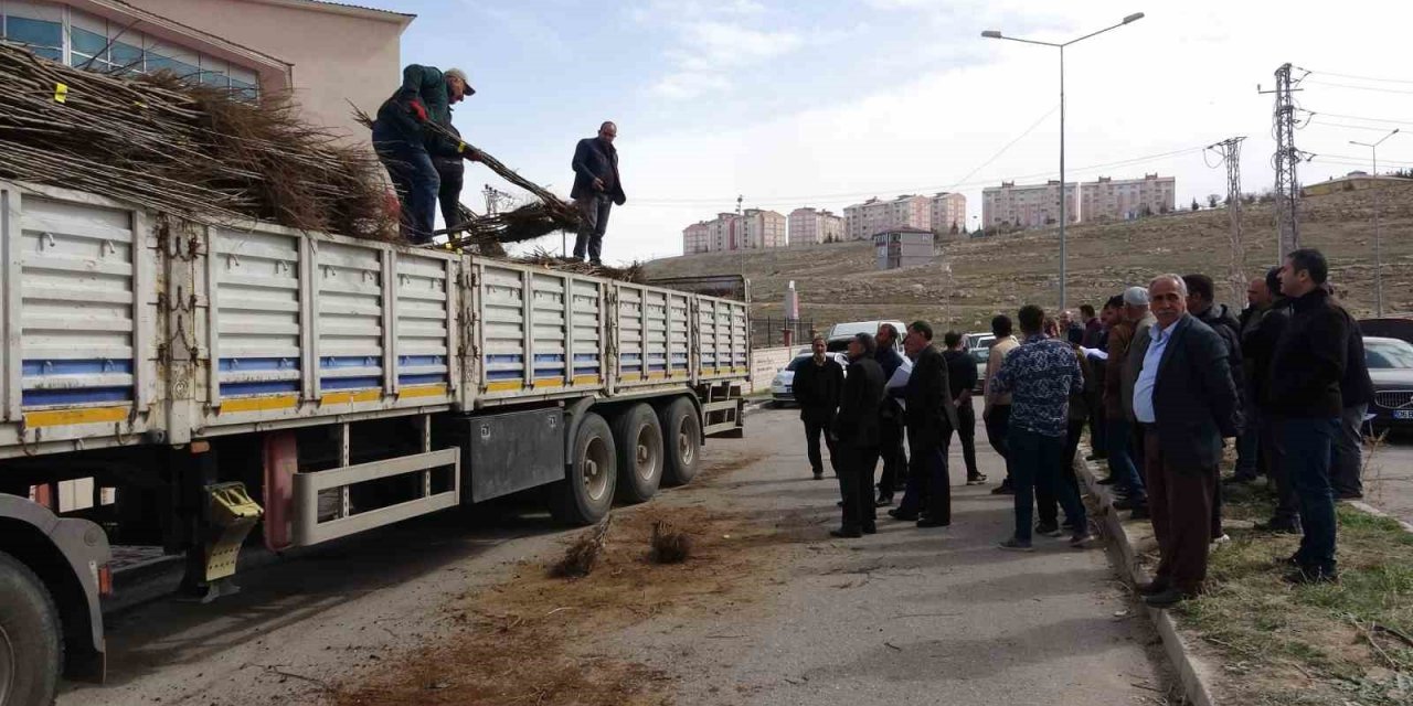 Van’da 31 bin adet meyve fidanı dağıtıldı