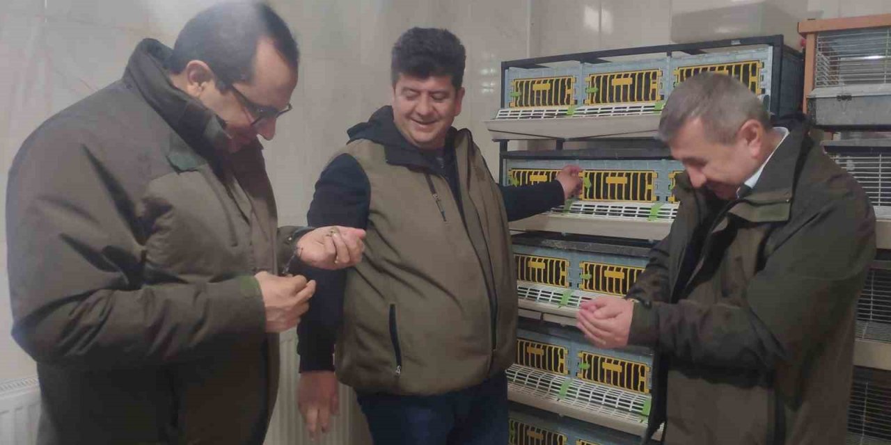 Yeni yılın ilk keklik yavruları kuluçkadan çıkmaya başladı