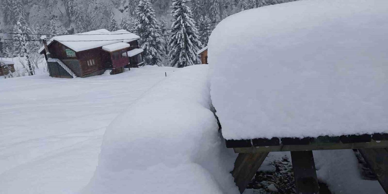 Kar yağışı Rize’nin yüksek kesimlerinde etkili oldu
