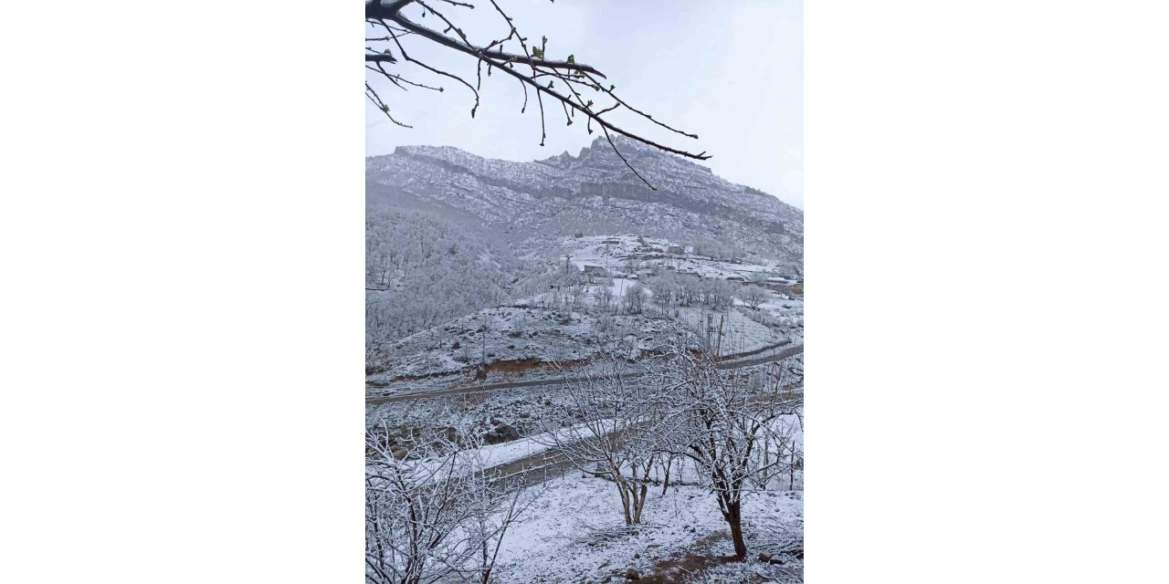 Şırnak beyaza büründü