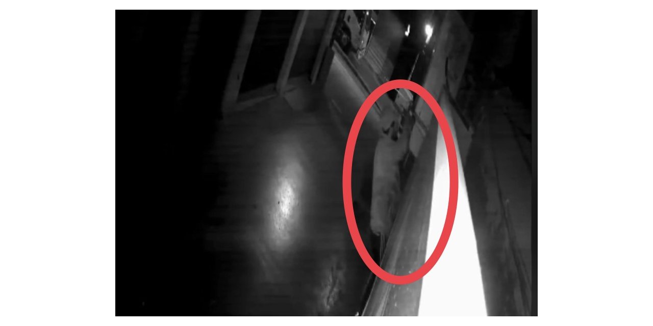 Kedi gibi duvara tırmanan hırsız, güvenlik kameralarından kaçamadı