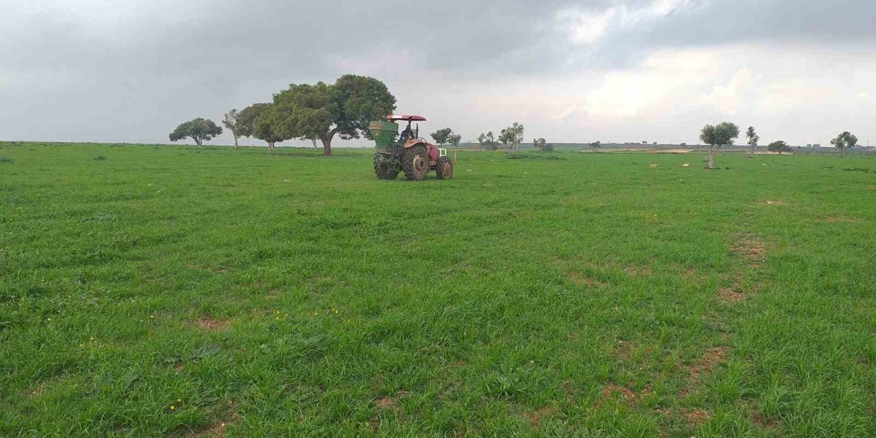 Adana’da meralarda ilkbahar gübrelemesi yapıldı