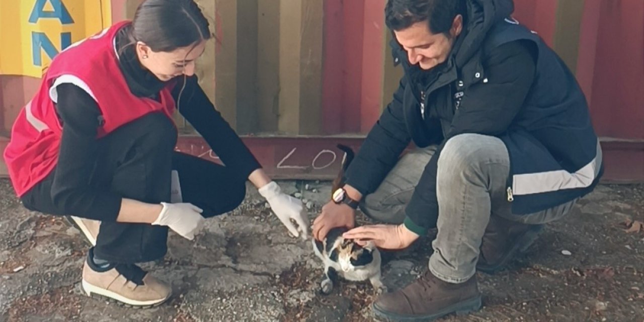 Polis kurtardı, Kızılay sahiplendi, adı ’Afet’ oldu