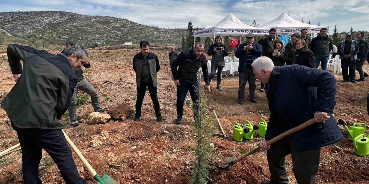 Emekli Orman Mühendisine “Vefa Ormanı’