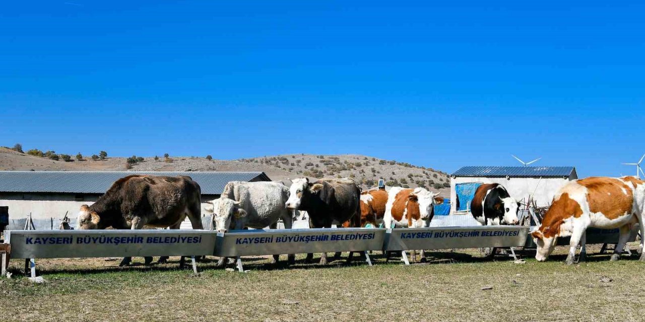 Başkan Büyükkılıç’tan 4 yılda 226 milyon TL’lik ‘tarım ve hayvancılık’ atılımı