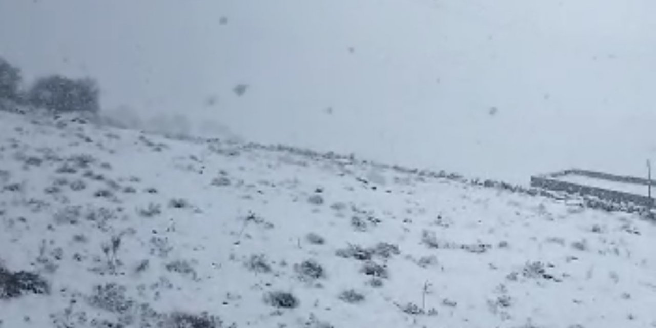 Mazıdağı beyaz örtüye büründü