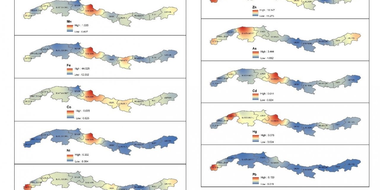 Karadeniz’de ilk defa ’Balık Ağır Metal Birikim Haritası’ hazırlandı