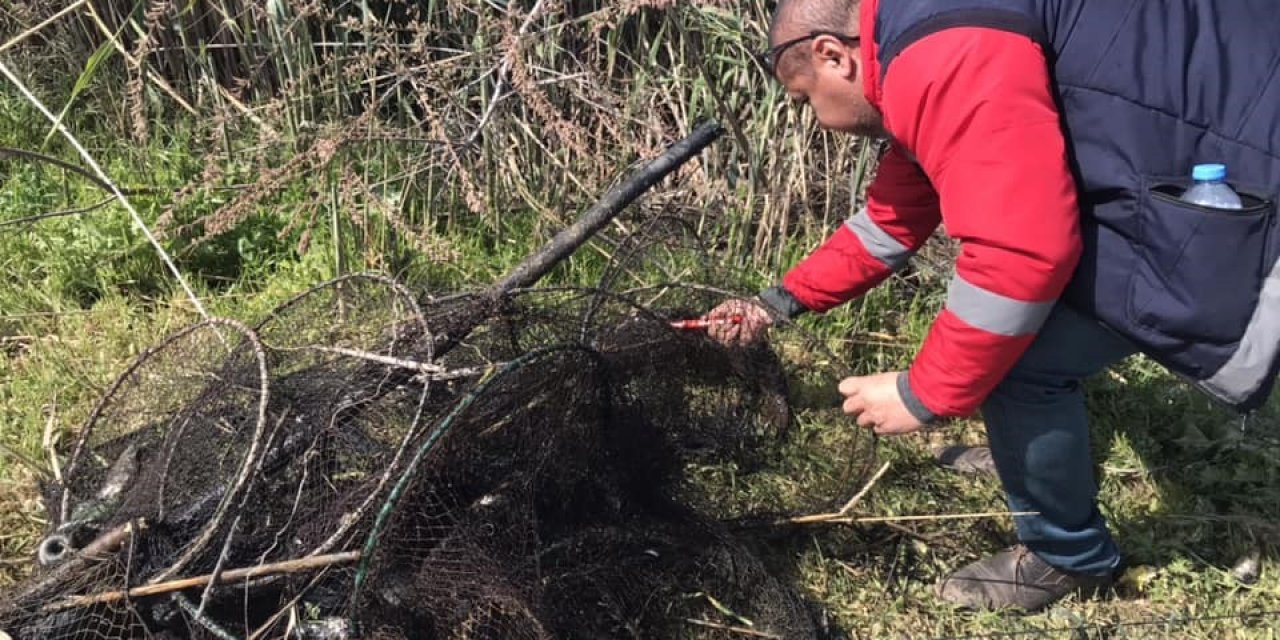 Didim’de kaçak yakalanan balıklar suya geri bırakıldı