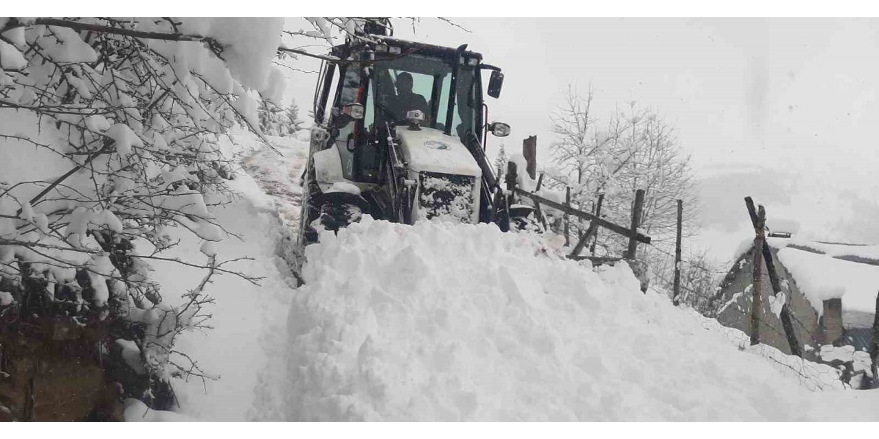 Giresun yaylalarında karla mücadele
