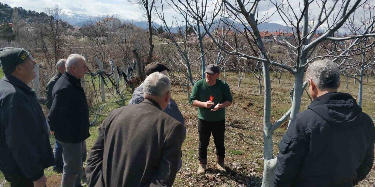 Konya Beyşehir’de uygulamalı ağaç bakımı eğitimi
