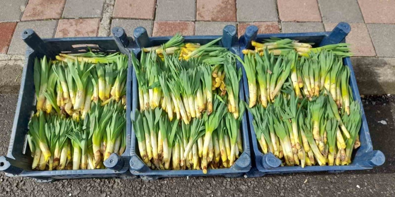 Kulp’ta ,’Gulik’ tezgahtaki yerini aldı