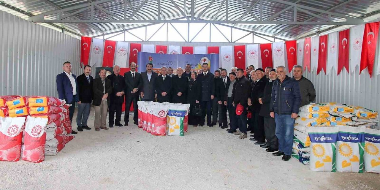 Amasya’da çiftçilere ayçiçek tohumu desteği