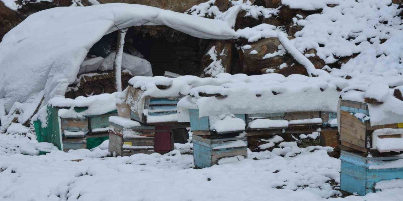 Şırnak’ta kar yağışı hayvanları ve bitkileri olumsuz etkiledi